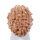 Haare, weiblich, lang, wild gelockt, kupferblond