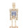 LEGO Star Wars Minifigur - Battle Droid (2024)