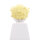Haare, wild abstehend, goldblond