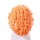 Haare, weiblich, lang, wild gelockt, orange
