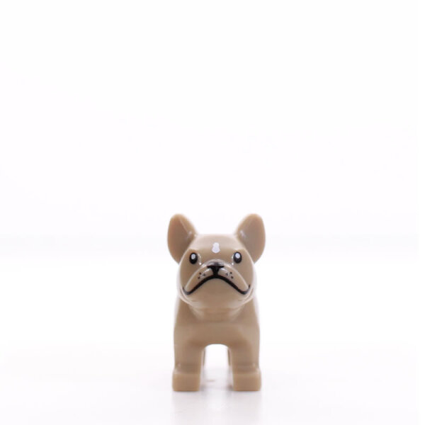 LEGO Hund Bulldogge, dunkelbeige