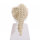Haare, weiblich, Zopf geflochten, aschblond
