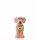 LEGO Hund Streuner, nougat